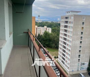 Pronájem bytu 1+kk Pardubice - Stavařov - Fotografie 5