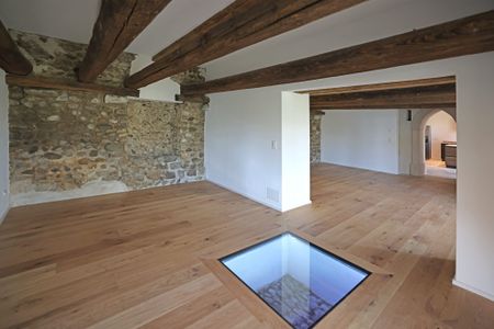 Beautiful terrace apartment with modern flair in Steckborn, canton TG - Photo 2