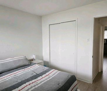 Appartement 3 ½ Ste-Foy (décembre 2026) - Photo 3