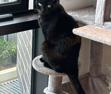 Wentworth Point - Photo 5