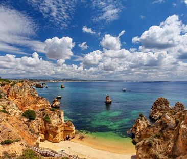 Estrada da Ponta da Piedade - Photo 6