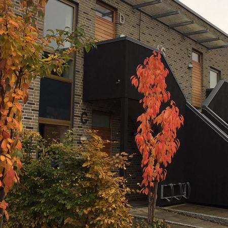 Edwin Berlings gata, Helsingborg - Photo 3