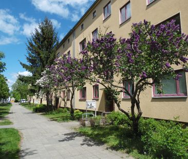 Stopp! Renovierte 2 1/2-Raum Wohnungen in ruhiger Lage! - Photo 1