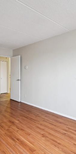 1 CH - 1 SDB - Gatineau - $1,395 /mo - Photo 1