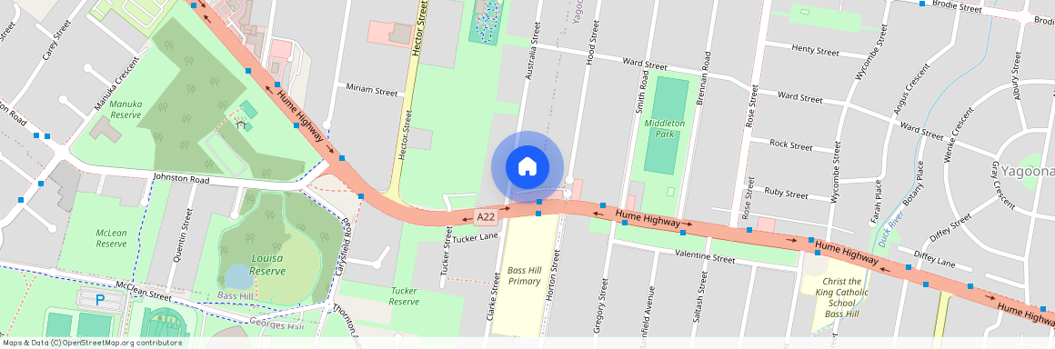 85 Australia Street, Bass Hill NSW 2197