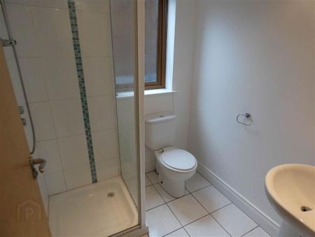 Flat 1 351a Beersbridge Road, Belfast, BT5 5DS - Photo 5