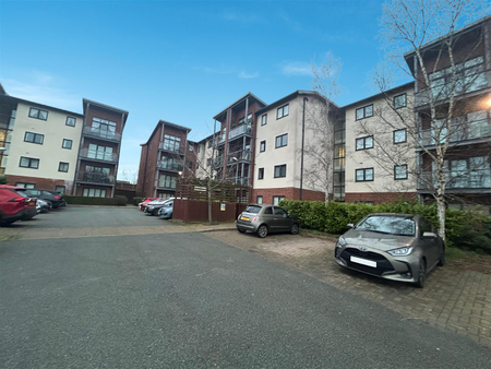 Studio House To Rent - Photo 2