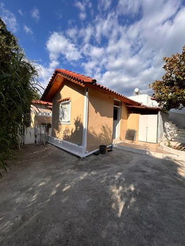 Μονοκατοικία για ενοικίαση - Καλαμάτα, - Φωτογραφία 4