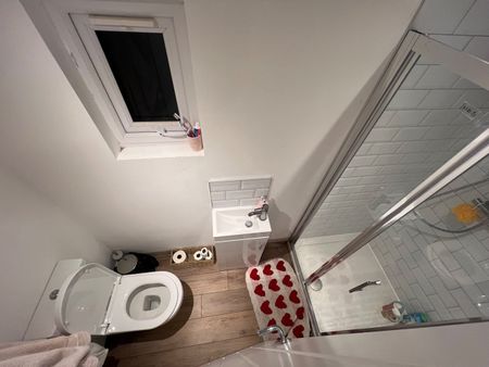 Studio Flat, Alexandea Ave, LU3 - Photo 5