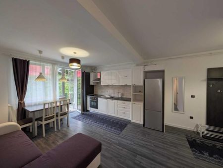 Apartament de Inchiriere 3 camere, APCJ247509FLO - Fotografie 2
