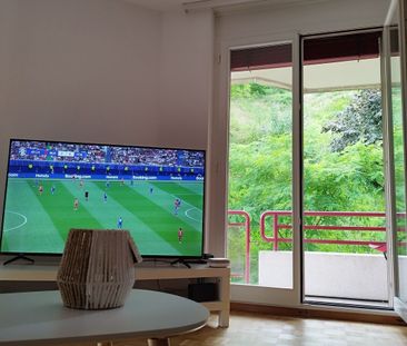 2-ROOM APARTMENT IN CORSIER-SUR-VEVEY (VD), FURNISHED, TEMPORARY RE... - Photo 3