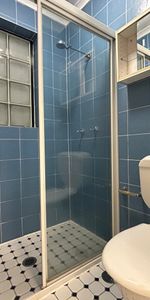 3/250 Bridge Road, Forest Lodge NSW 2037 - Studio For Rent | Domain - Photo 3