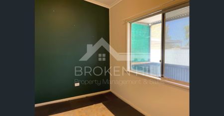 321 Williams Lane, Broken Hill, NSW, 2880. - Photo 4