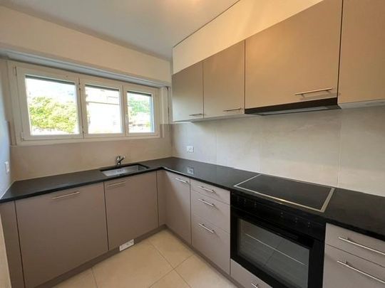 Bel appartement de 2.5 pièces entièrement rénové au rez-de-chaussée - Photo 1