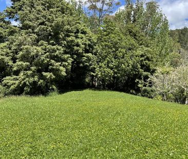 614d Paparoa Station Road, Paparoa - Photo 5