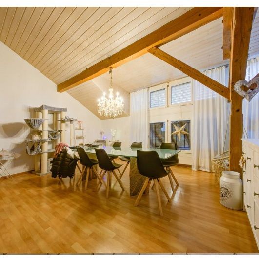 Helle und grosszügige Dachgeschosswohnung - Photo 1