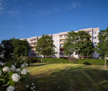 Familienfreundliche 4-Zimmerwohnung in Halle-Neustadt - Photo 3