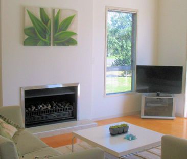 PURIRI PLACE - SUNNY AND SPACIOUS - Photo 4
