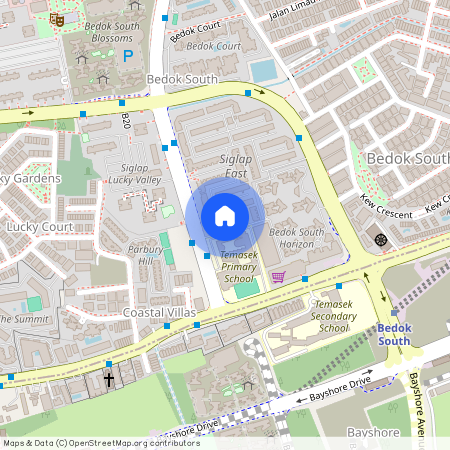 Blk 156 Bedok South Avenue 3 S(460156)