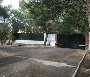 Crevillente - Foto 5