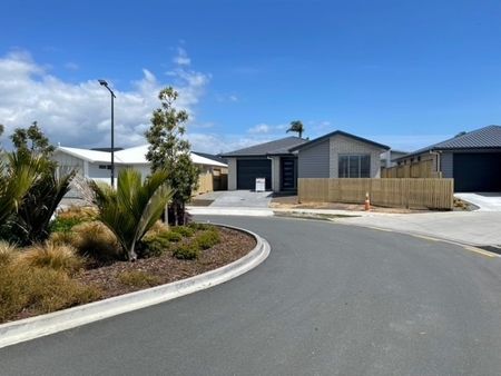 Modern Styling in Papamoa - Papamoa - Photo 3