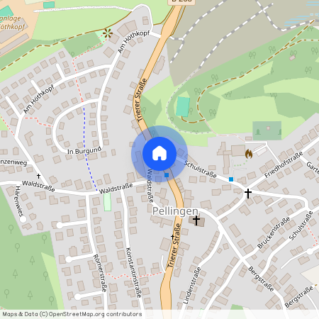 54331 Rheinland-Pfalz - Pellingen