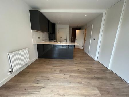 Studio Flat, Blenheim Mansions, N8 - Photo 4