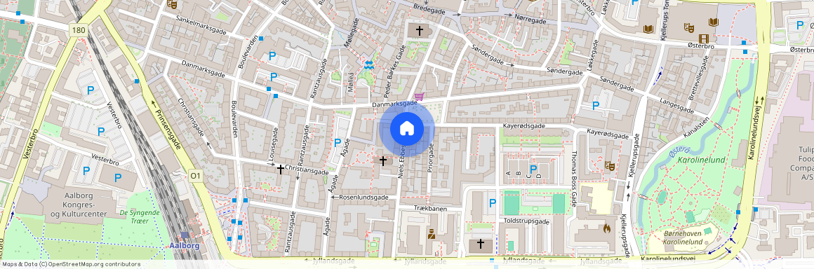 Niels Ebbesens Gade 19B, 2. tv., 9000 Aalborg