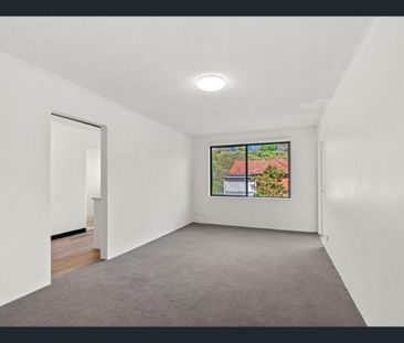 Renovated one bedroom apartment - Photo 2