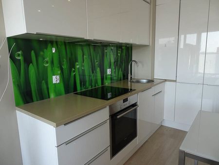 Mieszkanie Centrum Szczecin, ul. Mariana Langiewicza, nr 438944 - Photo 2