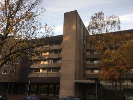 Kosselhof 2, 30627 Hannover OT Roderbruch - Foto 3