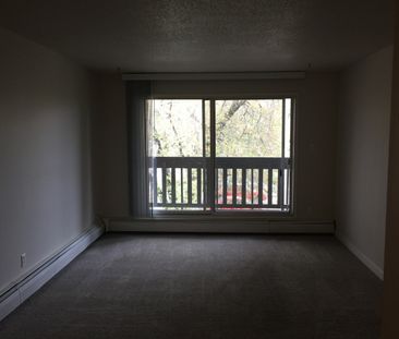 1 BEDROOM ON THE 3RD FLOOR!! DOWNTOWN RED DEER!! - Photo 1