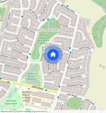 ** Kouras Place, Flat Bush, Manukau City