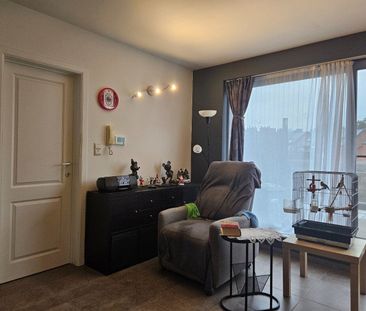 Rustig gelegen studio met ruim terras te St.-Jozef-Olen ! - Photo 3