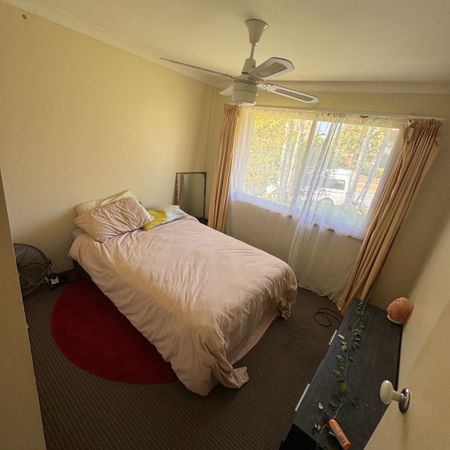 Ashmore - Photo 3