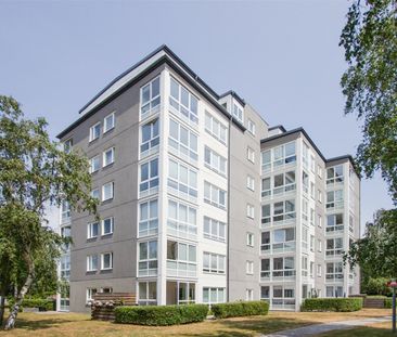 Klättermusgården 2 - Foto 5