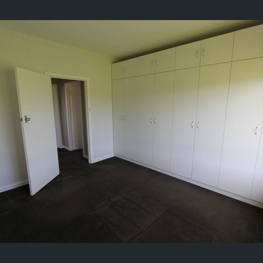 Close to Everything! - Photo 1