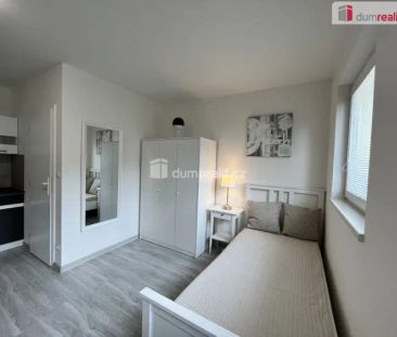 Pronájem bytu 1+kk, 18 m - Fotografie 3