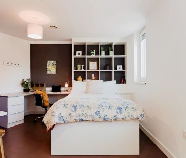 Gold Studio - Photo 1