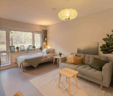 Flamman, Västanågatan 30A.318 - Photo 5