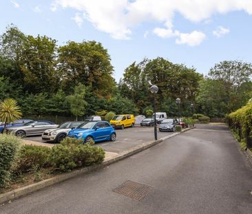 Burnham Gate, Guildford, GU1 - Photo 6