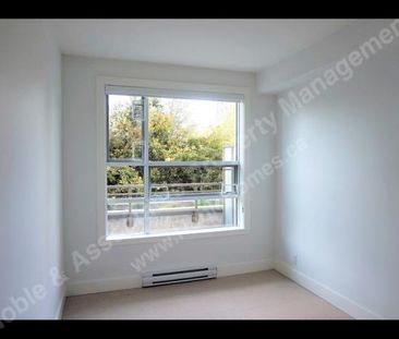 2128 West 40th Ave Unit 205 Vancouver - Photo 2