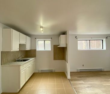 Magnifique 3 1/2 Demi-sous-sol, Triplex - Photo 1