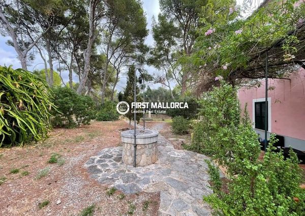 Av. son Caliu, 17, 07181 Palmanova, Illes Balears, Spain, Palma Nova, Balearic Islands 07181
