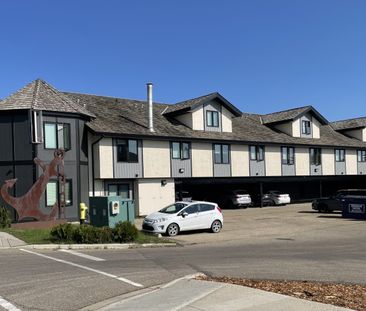 Pet Friendly 1 bed Apartment located on the beach front in Sylvan Lake - Photo 2