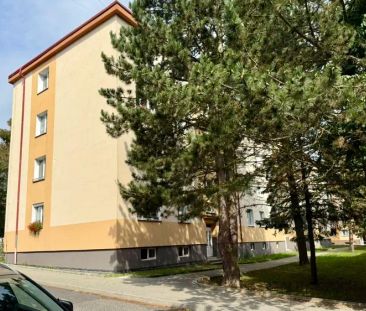 Pronájem, Byty 1+kk, 23 m - Фото 6