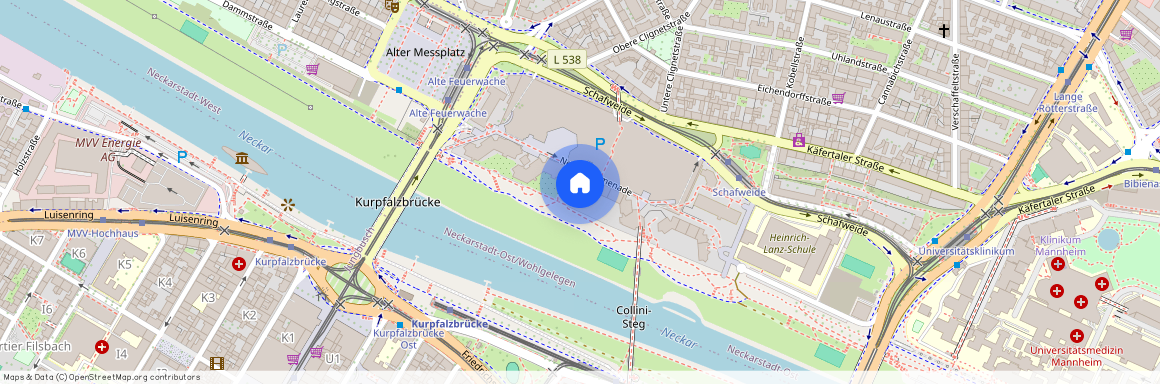 Neckarpromenade 16, 68167 Mannheim