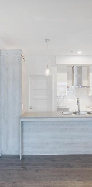 MAGNIFIQUES 4 1/2 - LIBRE IMMÉDIATEMENT OU JUILLET - ASCENSEUR - Photo 1