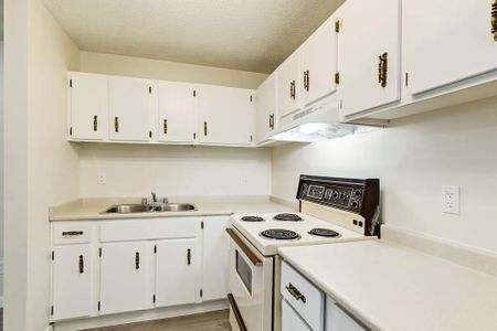 1 Bedroom - Photo 4