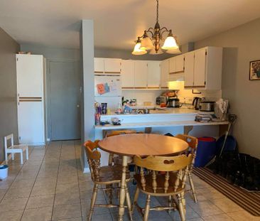 Terrebonne 41/2 - Photo 2